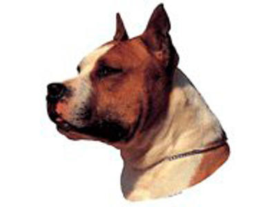 KW DEKAL LILLE AMSTAFF