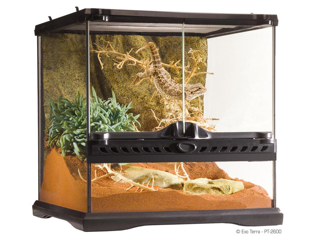 ExoTerra terrarium 30 x 30 x 30 cm.