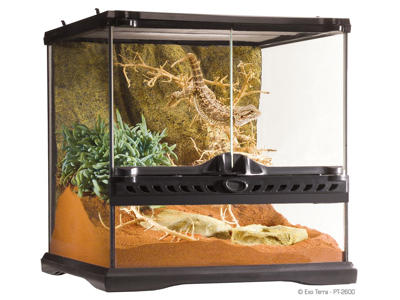 ExoTerra terrarium 30 x 30 x 30 cm.