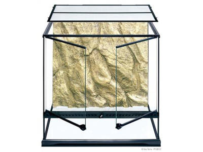 ExoTerra terrarium 60 x 45 x 60 cm.