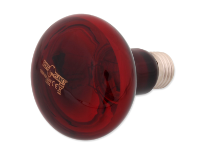 Pære Infrarød Varme 100W