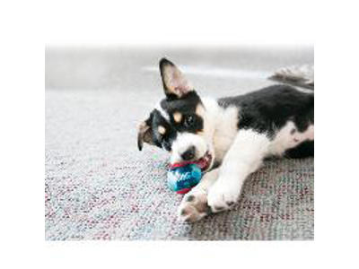 KONG SQUEEZZ ACTIONBALL RED M 6CM
