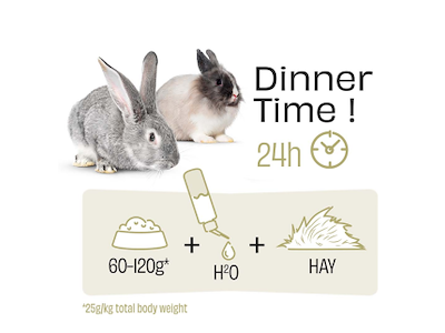Witte Molen PUUR Rabbit Sensitive Kaninfoder 700 g – Fiberrigt Fuldfoder til Sensitive Kaniner