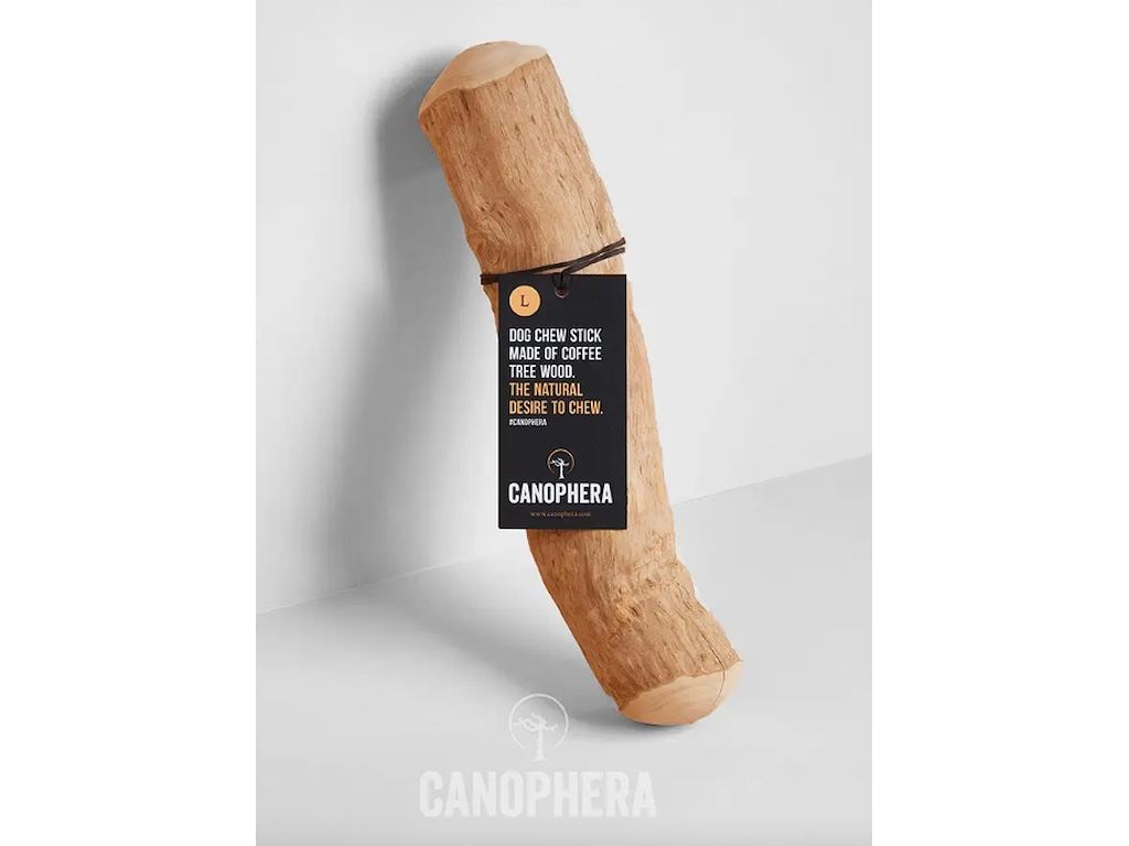 CANOPHERA BEN STR. L