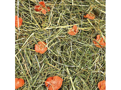 JR Bjergenghø med Gulerod 1,5kg