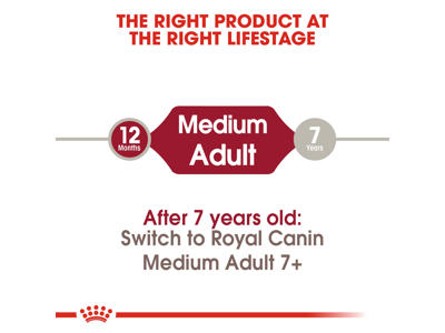 SHN Medium Adult 15 KG