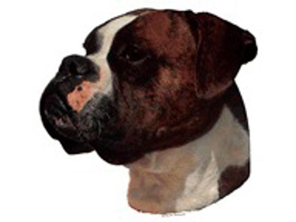 KW BOXER  14 CM / 2 STK