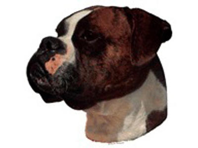 KW BOXER  14 CM / 2 STK