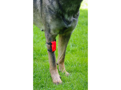 KW BLINK M/STROPPER 6CM