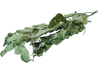 JR "Et stykke natur" Tørrede Æblegrene 40g