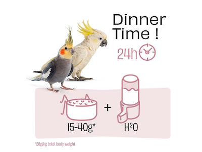 Witte Molen PUUR Large Parakeet & Cockatoo 2,25 kg – Premium Foder til Store Parakitter og Kakaduer