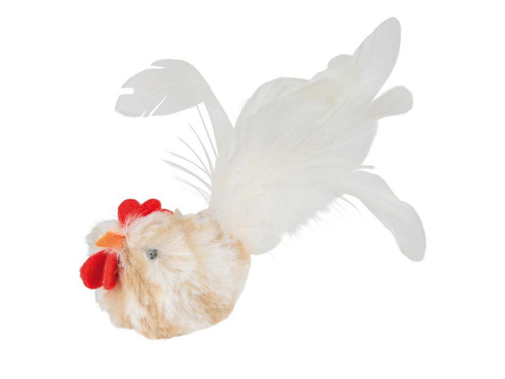 Hanekylling m. catnip