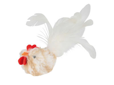 Hanekylling m. catnip