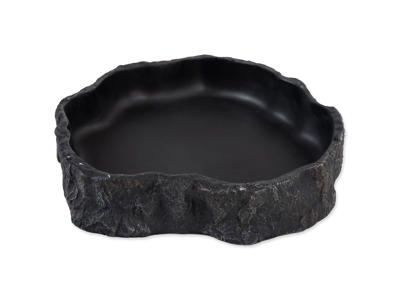 Stor vandskål Reptiplanet