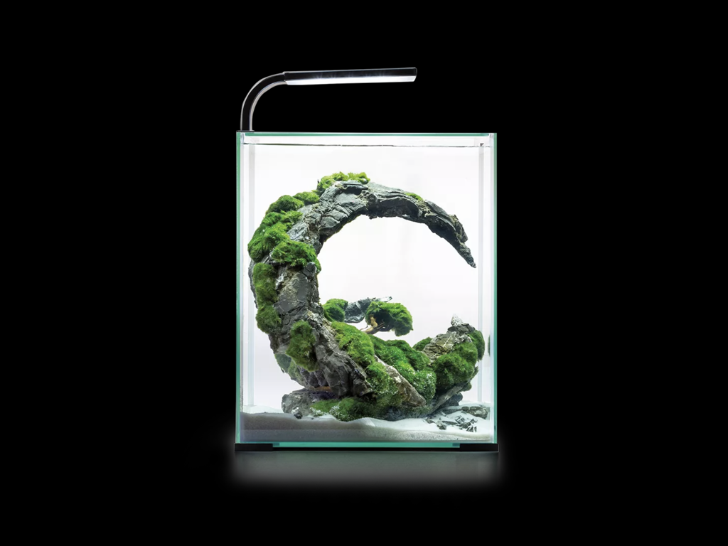 Rejeakvarie 30 l D/N  -sort