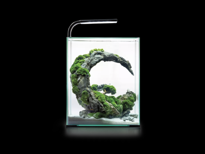 Rejeakvarie 30 l D/N  -hvid-