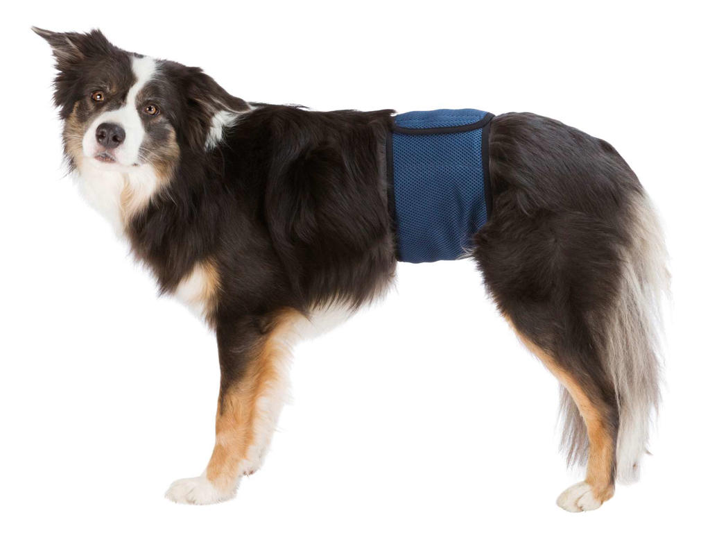 Trixie Mavebind for Hanhund – Str. S/M (37-45 cm) – Beskyttende & Absorberende