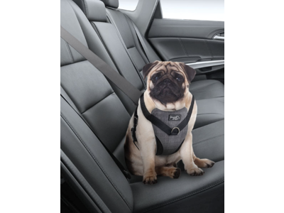 HUNDESELE 2 i 1 Walk & RIDE M