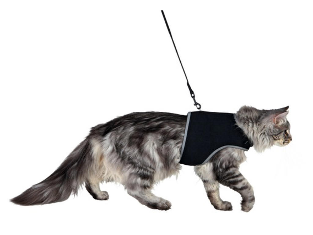 Soft sele m/ line til katte, XL, 36–54 cm, 1,20 m, sort