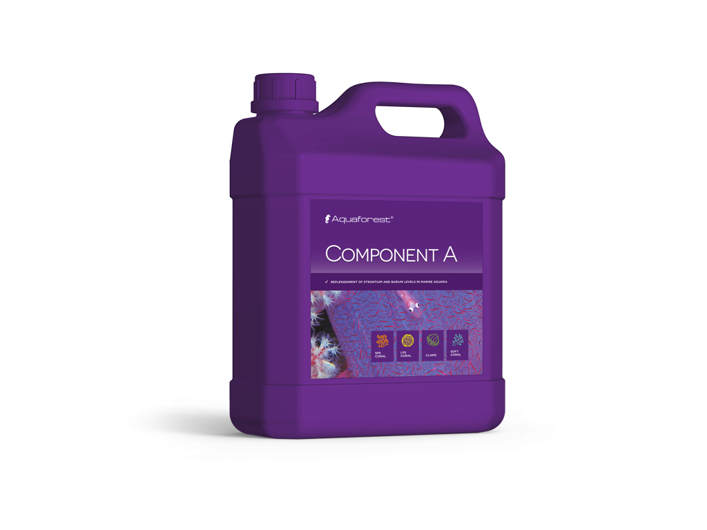 Component A 2000 ml