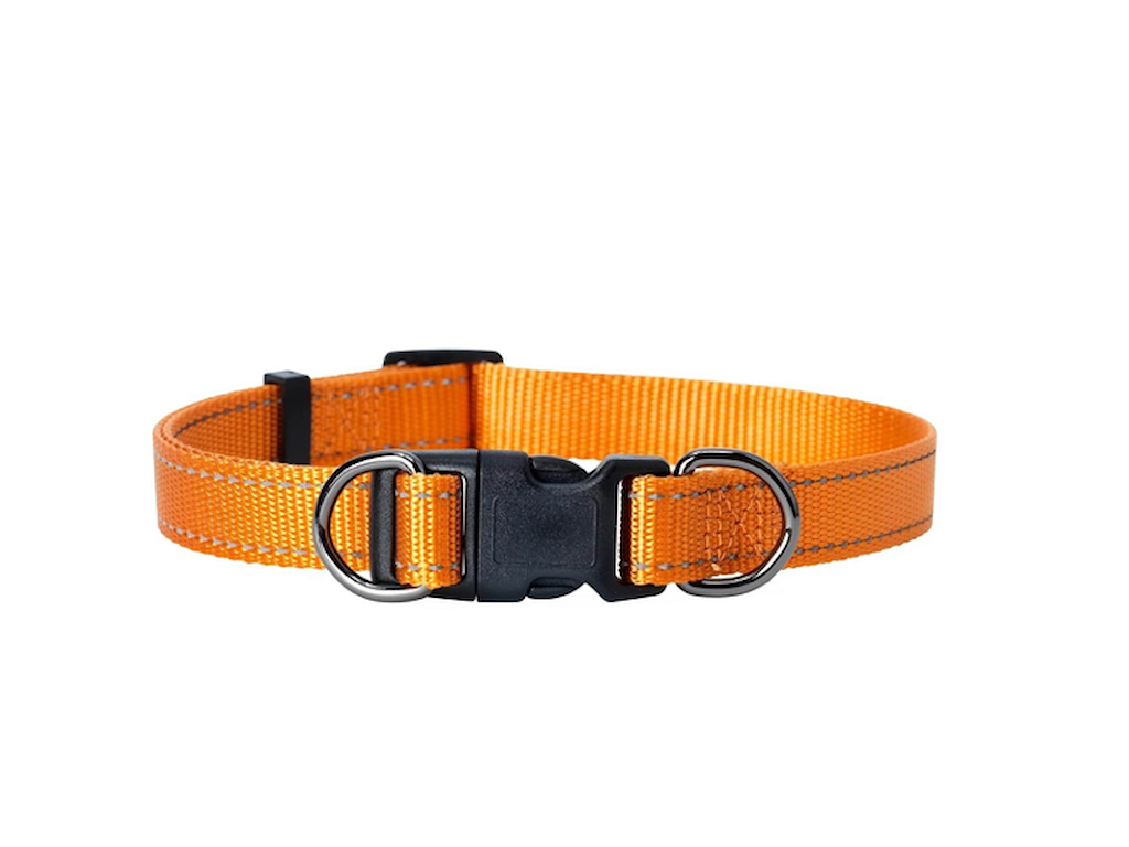 Dogman Iris Justerbart Nylonhalsbånd Orange M 32-50 cm – Reflekterende Hundehalsbånd 15 mm
