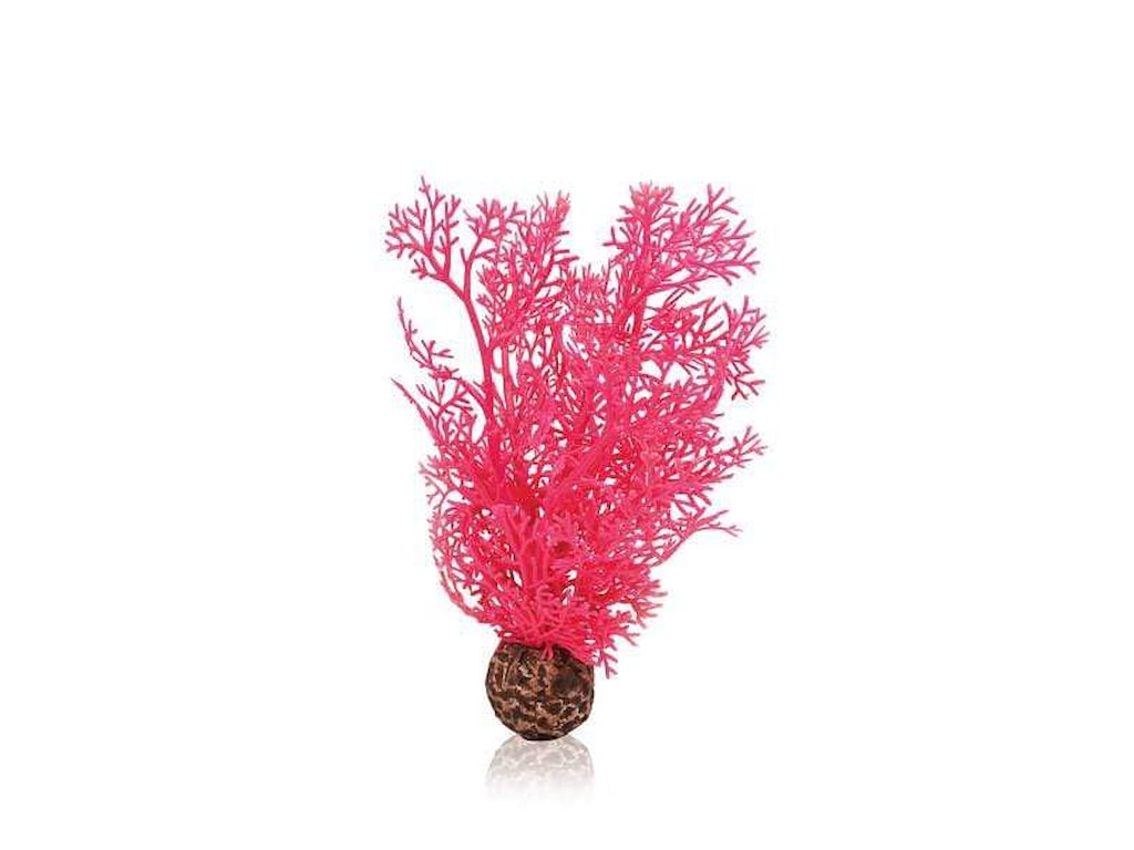biOrb Sea Fan S Pink – Dekorativ akvarieplante i pink (str. S)