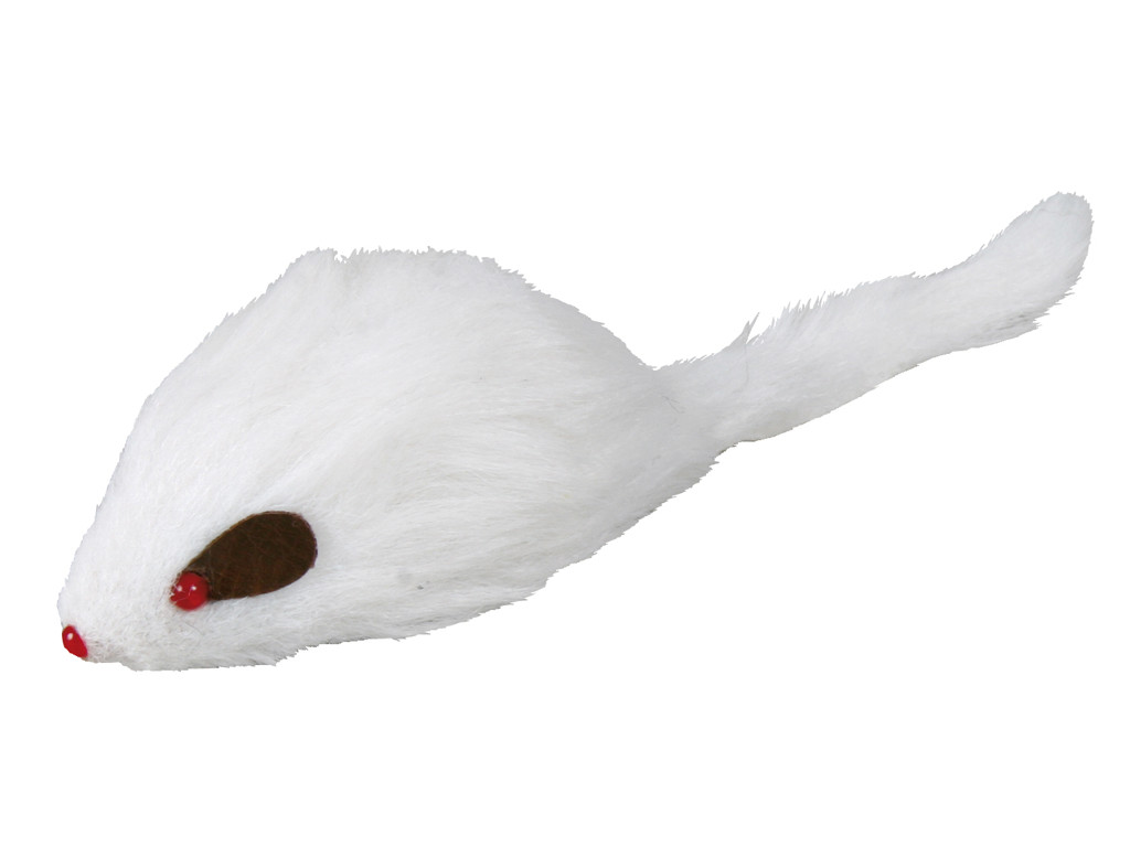 Pelsmus langhår m. lyd