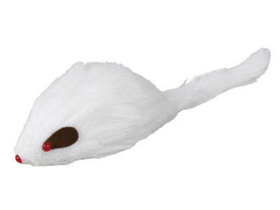 Pelsmus langhår m. lyd