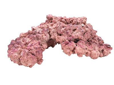 AquaForest AF Nano Rock 3,5 kg – Dekorativ og porøs filtersten til nano saltvandsakvarier