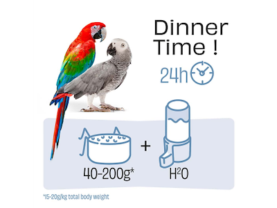 Witte Molen PUUR Parrot Papegøjefoder 2,25 kg – Premium Foder med Mango, Nødder og Hyben