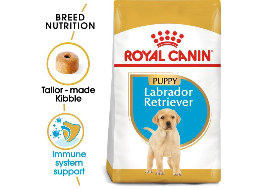 BHN Labrador Junior 12 KG