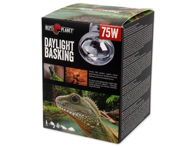 Pære Daylight Basking Spot 75W