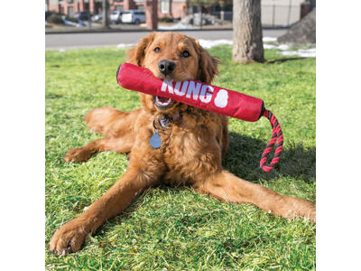 Kong Signature Stick m. rep Ø5x30,5CM