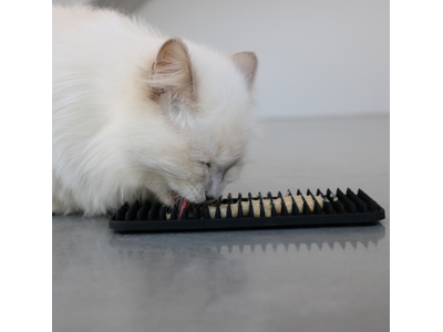 D&D I love Happy CAT 10x20x1,3 cm. Sort