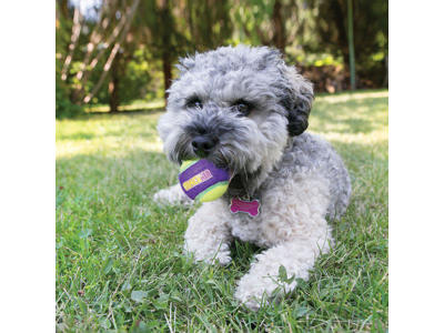 Kong chrunchair ball 3pack S Ø5cm