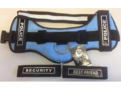 Commander sele XXXS lyseblå