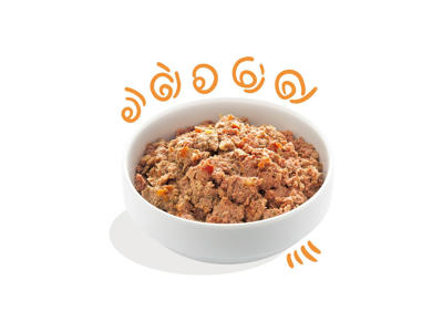 EC paté kylling&kalkun adult 300gr