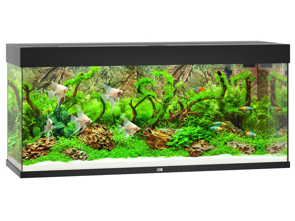 JUWEL RIO 240 LED AKVARIE SORT