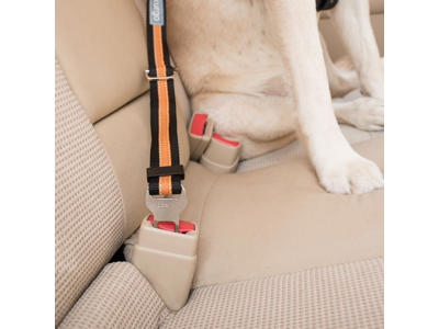 Kurgo sikkerhedssele strop blå