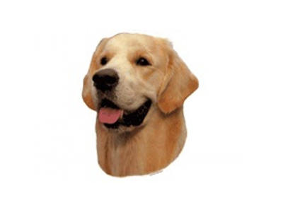 GOLDEN RETRIEVER MINI DEKAL PS/4
