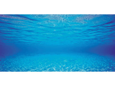 Poster 2 XL Baggrund