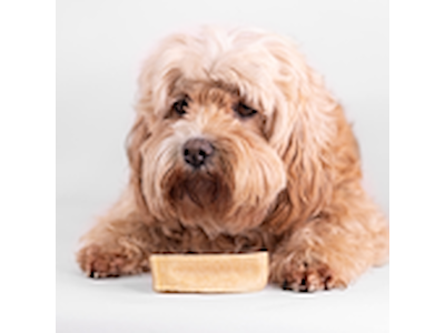 Yaki Peanutbutter M 70-75 g – Proteinrig Vegetarisk Tyggepind til Hunde