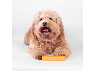 Yaki Gulerod M 70-75 g – Proteinrig Vegetarisk Tyggepind til Hunde
