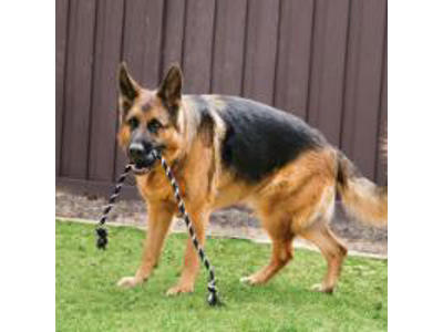 KONG EXTREME BALL M. REB L Ø7,5CM
