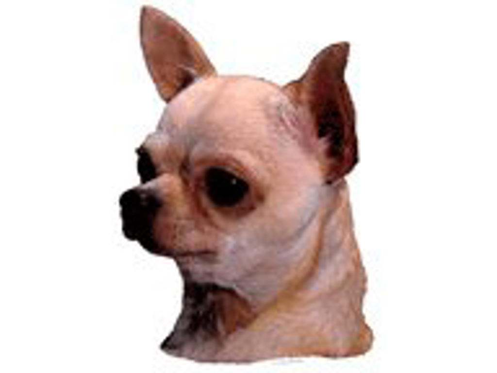 KW CHIHUAHUA KORTHÅR 8 CM / 4 STK