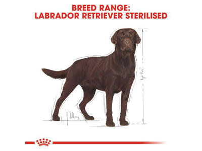 BHN Labrador Sterilised Adult 12 KG