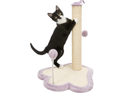 JUNIOR POTE KRADSEBRÆT M. STOLPE
