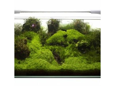 Leddy Slim 36 watt Sunny hvid 100-120 cm