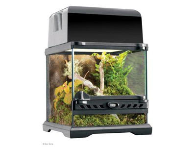 ExoTerra terrarium nano  20 x 20 x 20 cm.