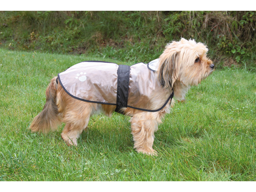 Regnfrakke, transparent,38cm